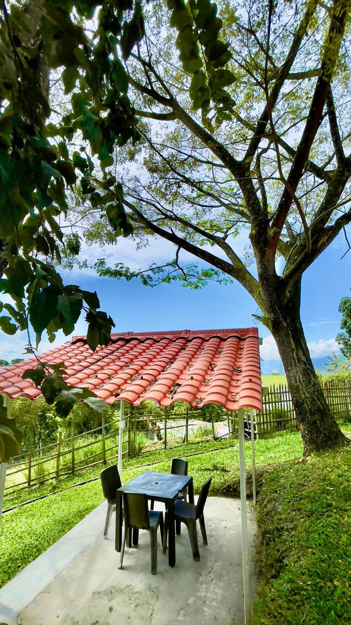 Loto Del Viento Hotel การ์ตาโก ภายนอก รูปภาพ